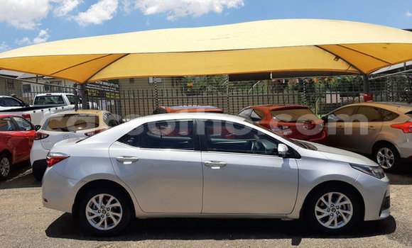 Buy Used Toyota Corolla Silver Car in Butha–Buthe in Thaba-Tseka Buy Used Toyota Corolla Silver Car in Butha–Buthe in Thaba-Tseka