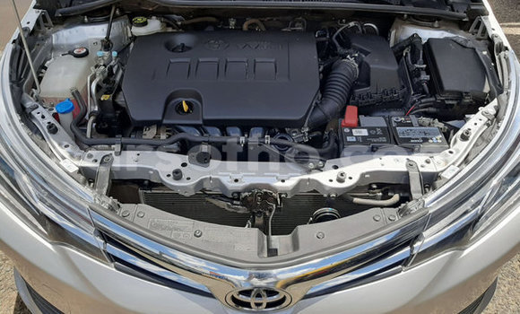 Buy Used Toyota Corolla Silver Car in Butha–Buthe in Thaba-Tseka Buy Used Toyota Corolla Silver Car in Butha–Buthe in Thaba-Tseka