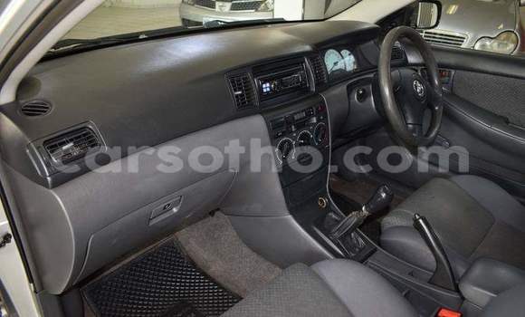 Sayi Na hannu Toyota Corolla Silver Mota in Thaba–Tseka a Mafeteng Sayi Na hannu Toyota Corolla Silver Mota in Thaba–Tseka a Mafeteng