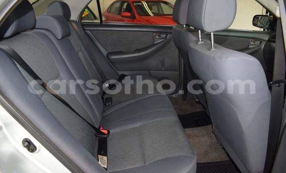 Sayi Na hannu Toyota Corolla Silver Mota in Thaba–Tseka a Mafeteng Sayi Na hannu Toyota Corolla Silver Mota in Thaba–Tseka a Mafeteng