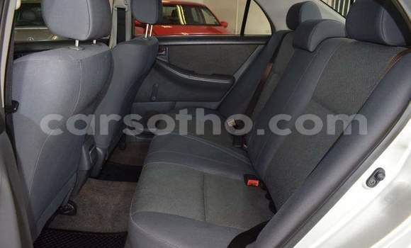 Sayi Na hannu Toyota Corolla Silver Mota in Thaba–Tseka a Mafeteng Sayi Na hannu Toyota Corolla Silver Mota in Thaba–Tseka a Mafeteng