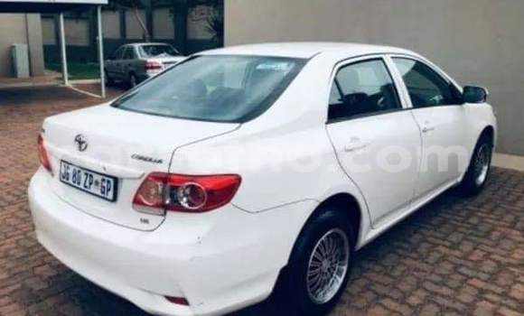 Acheter Occasion Voiture Toyota Corolla Blanc à Thaba–Tseka, Mafeteng Acheter Occasion Voiture Toyota Corolla Blanc à Thaba–Tseka, Mafeteng