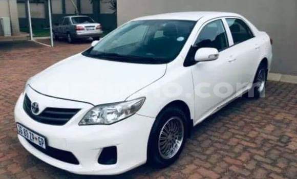 Acheter Occasion Voiture Toyota Corolla Blanc à Thaba–Tseka, Mafeteng Acheter Occasion Voiture Toyota Corolla Blanc à Thaba–Tseka, Mafeteng