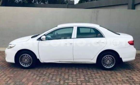 Acheter Occasion Voiture Toyota Corolla Blanc à Thaba–Tseka, Mafeteng Acheter Occasion Voiture Toyota Corolla Blanc à Thaba–Tseka, Mafeteng