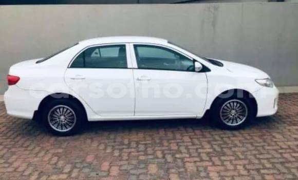 Acheter Occasion Voiture Toyota Corolla Blanc à Thaba–Tseka, Mafeteng Acheter Occasion Voiture Toyota Corolla Blanc à Thaba–Tseka, Mafeteng