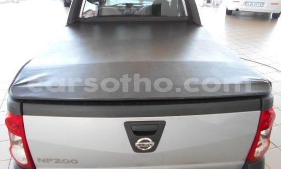 اشتري مستعمل Nissan NP 300 Silver سيارة في Maseru في Maseru اشتري مستعمل Nissan NP 300 Silver سيارة في Maseru في Maseru