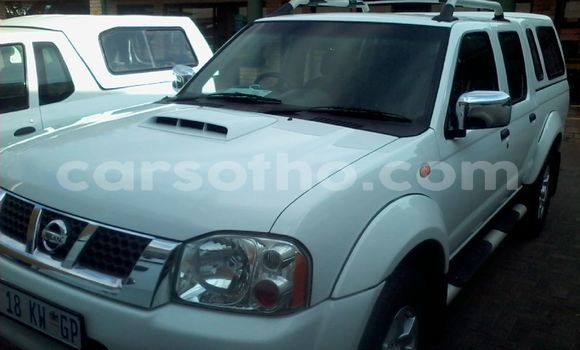 Buy Used Nissan Hardbody White Car in Maseru in Maseru Buy Used Nissan Hardbody White Car in Maseru in Maseru