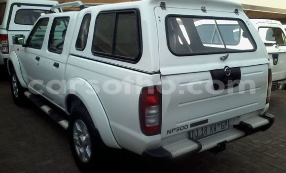 Buy Used Nissan Hardbody White Car in Maseru in Maseru Buy Used Nissan Hardbody White Car in Maseru in Maseru