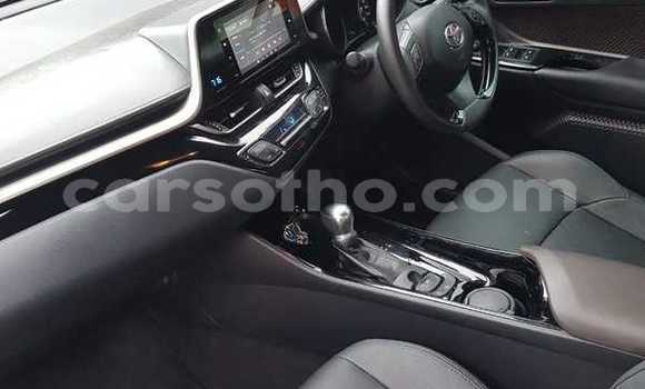 Buy Used Toyota RAV4 Green Car in Maseru in Maseru Buy Used Toyota RAV4 Green Car in Maseru in Maseru