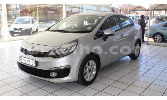 Acheter Occasion Voiture Kia Rio Gris à Roma, Maseru Acheter Occasion Voiture Kia Rio Gris à Roma, Maseru