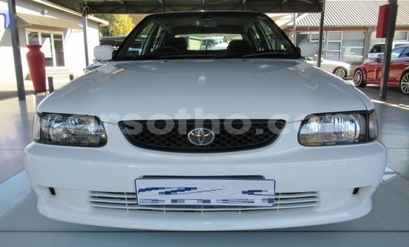 Buy Used Toyota Corolla Green Car in Maputsoe in Leribe Buy Used Toyota Corolla Green Car in Maputsoe in Leribe