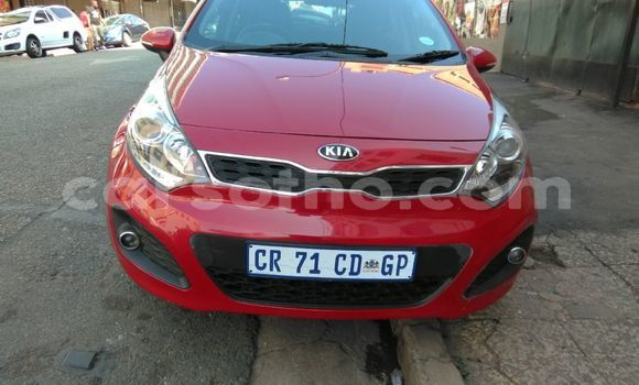 Buy Used Kia Rio Red Car in Maseru in Maseru Buy Used Kia Rio Red Car in Maseru in Maseru