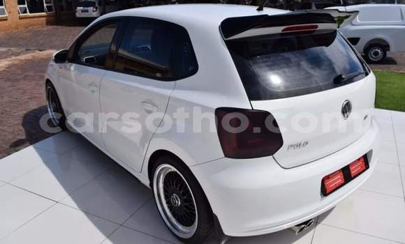 Buy Used Volkswagen Polo White Car in Hlotse in Leribe Buy Used Volkswagen Polo White Car in Hlotse in Leribe