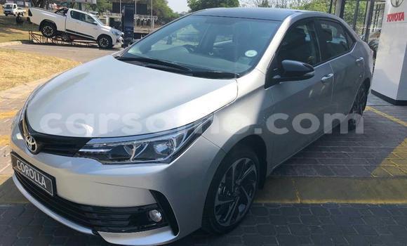 اشتري مستعمل Toyota WiLL Silver سيارة في Maputsoa في Leribe اشتري مستعمل Toyota WiLL Silver سيارة في Maputsoa في Leribe