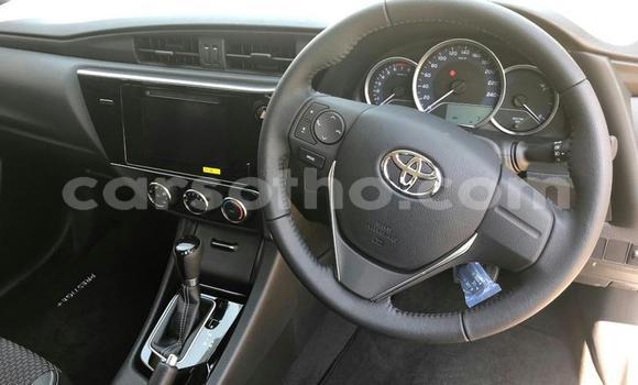 اشتري مستعمل Toyota WiLL Silver سيارة في Maputsoa في Leribe اشتري مستعمل Toyota WiLL Silver سيارة في Maputsoa في Leribe