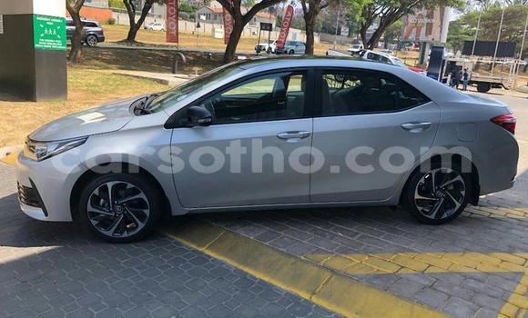 اشتري مستعمل Toyota WiLL Silver سيارة في Maputsoa في Leribe اشتري مستعمل Toyota WiLL Silver سيارة في Maputsoa في Leribe