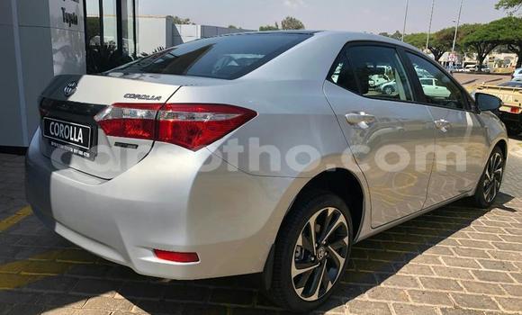 اشتري مستعمل Toyota WiLL Silver سيارة في Maputsoa في Leribe اشتري مستعمل Toyota WiLL Silver سيارة في Maputsoa في Leribe