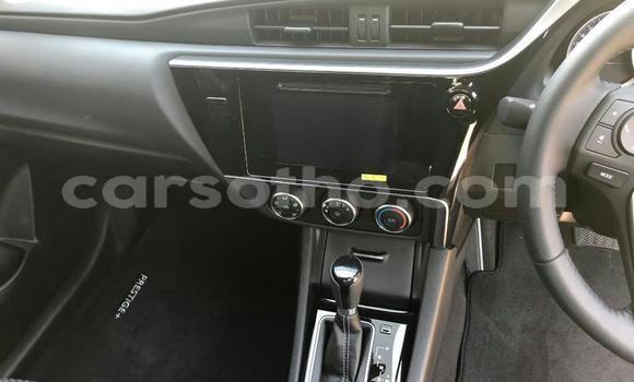 اشتري مستعمل Toyota WiLL Silver سيارة في Maputsoa في Leribe اشتري مستعمل Toyota WiLL Silver سيارة في Maputsoa في Leribe