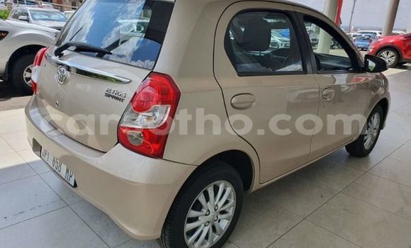 Acheter Occasion Voiture Toyota Etios Beige à Maseru, Maseru Acheter Occasion Voiture Toyota Etios Beige à Maseru, Maseru