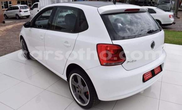 Buy Used Volkswagen Polo White Car in Hlotse in Leribe Buy Used Volkswagen Polo White Car in Hlotse in Leribe