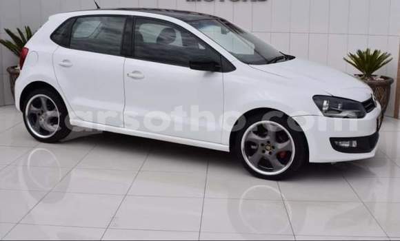 Buy Used Volkswagen Polo White Car in Hlotse in Leribe Buy Used Volkswagen Polo White Car in Hlotse in Leribe