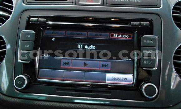 اشتري مستعمل Volkswagen Tiguan Other سيارة في Hlotse في Leribe اشتري مستعمل Volkswagen Tiguan Other سيارة في Hlotse في Leribe