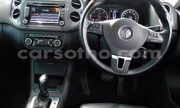 اشتري مستعمل Volkswagen Tiguan Other سيارة في Hlotse في Leribe اشتري مستعمل Volkswagen Tiguan Other سيارة في Hlotse في Leribe