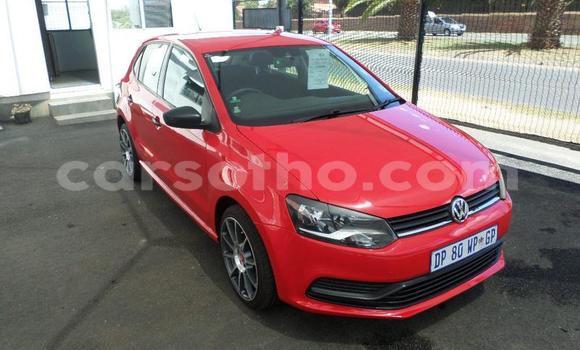 اشتري مستعمل Volkswagen Polo Red سيارة في Hlotse في Leribe اشتري مستعمل Volkswagen Polo Red سيارة في Hlotse في Leribe