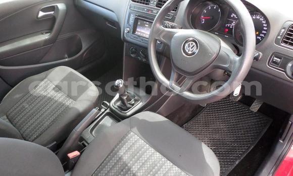 اشتري مستعمل Volkswagen Polo Red سيارة في Hlotse في Leribe اشتري مستعمل Volkswagen Polo Red سيارة في Hlotse في Leribe