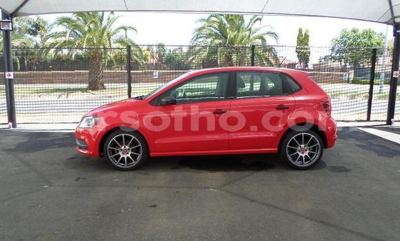 اشتري مستعمل Volkswagen Polo Red سيارة في Hlotse في Leribe اشتري مستعمل Volkswagen Polo Red سيارة في Hlotse في Leribe