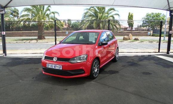 اشتري مستعمل Volkswagen Polo Red سيارة في Hlotse في Leribe اشتري مستعمل Volkswagen Polo Red سيارة في Hlotse في Leribe