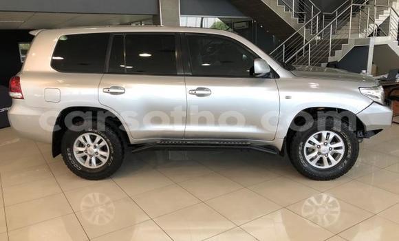 اشتري مستعمل Toyota Land Cruiser Silver سيارة في Maseru في Maseru اشتري مستعمل Toyota Land Cruiser Silver سيارة في Maseru في Maseru
