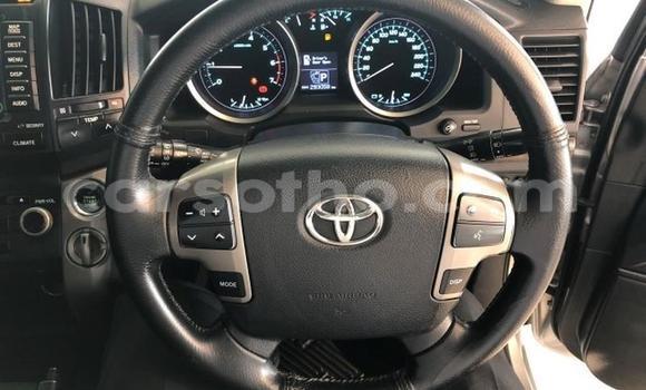 اشتري مستعمل Toyota Land Cruiser Silver سيارة في Maseru في Maseru اشتري مستعمل Toyota Land Cruiser Silver سيارة في Maseru في Maseru