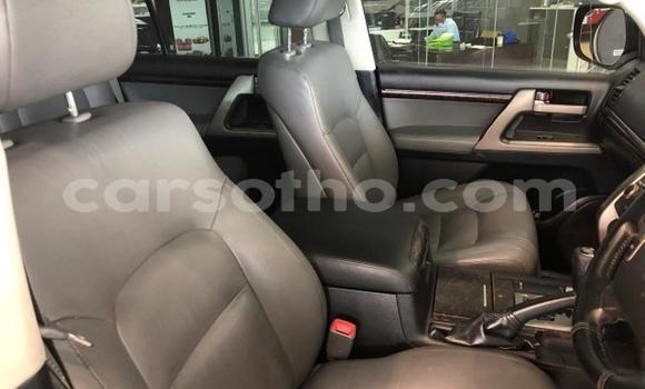 اشتري مستعمل Toyota Land Cruiser Silver سيارة في Maseru في Maseru اشتري مستعمل Toyota Land Cruiser Silver سيارة في Maseru في Maseru