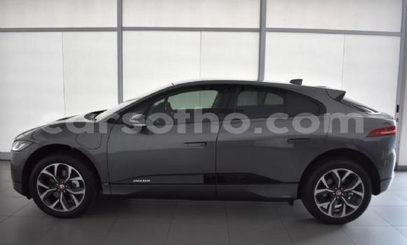 اشتري مستعمل Jaguar I-Pace Black سيارة في Maseru في Maseru اشتري مستعمل Jaguar I-Pace Black سيارة في Maseru في Maseru