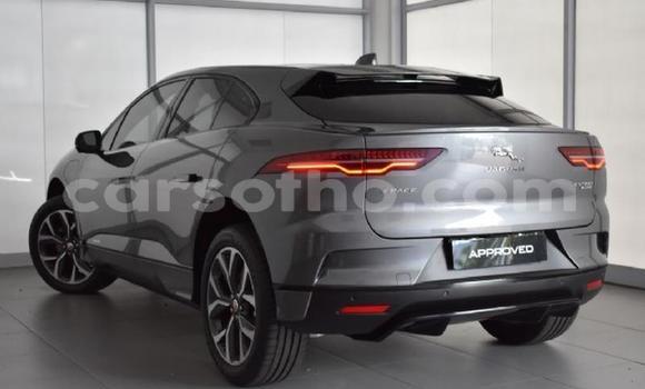 اشتري مستعمل Jaguar I-Pace Black سيارة في Maseru في Maseru اشتري مستعمل Jaguar I-Pace Black سيارة في Maseru في Maseru