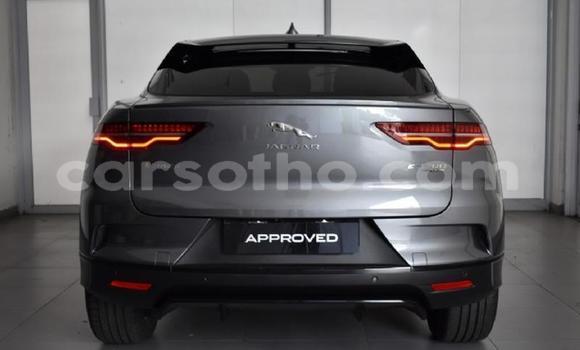 اشتري مستعمل Jaguar I-Pace Black سيارة في Maseru في Maseru اشتري مستعمل Jaguar I-Pace Black سيارة في Maseru في Maseru