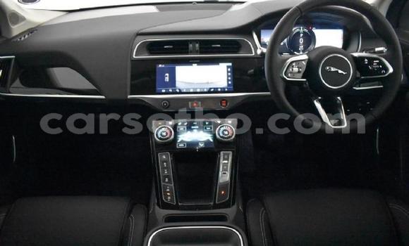 اشتري مستعمل Jaguar I-Pace Black سيارة في Maseru في Maseru اشتري مستعمل Jaguar I-Pace Black سيارة في Maseru في Maseru