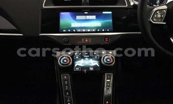 اشتري مستعمل Jaguar I-Pace Black سيارة في Maseru في Maseru اشتري مستعمل Jaguar I-Pace Black سيارة في Maseru في Maseru
