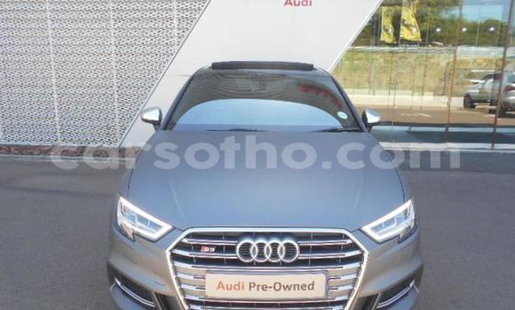 اشتري مستعمل Audi S3 Other سيارة في Maseru في Maseru اشتري مستعمل Audi S3 Other سيارة في Maseru في Maseru