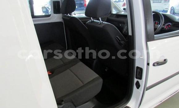 اشتري مستعمل Volkswagen Caddy White سيارة في Thaba–Tseka في Mafeteng اشتري مستعمل Volkswagen Caddy White سيارة في Thaba–Tseka في Mafeteng