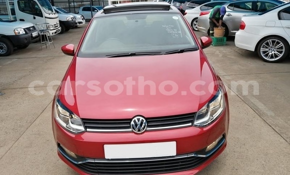 اشتري مستعمل Volkswagen Polo Red سيارة في Hlotse في Leribe اشتري مستعمل Volkswagen Polo Red سيارة في Hlotse في Leribe