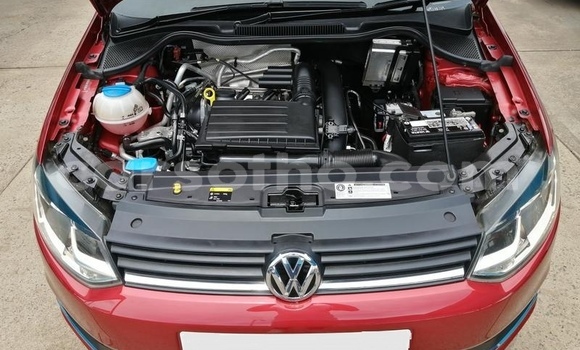 اشتري مستعمل Volkswagen Polo Red سيارة في Hlotse في Leribe اشتري مستعمل Volkswagen Polo Red سيارة في Hlotse في Leribe