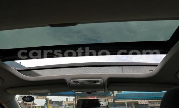 اشتري مستعمل Volkswagen Polo Red سيارة في Hlotse في Leribe اشتري مستعمل Volkswagen Polo Red سيارة في Hlotse في Leribe