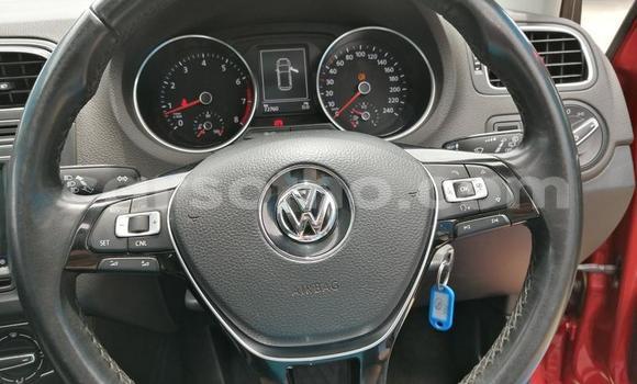 اشتري مستعمل Volkswagen Polo Red سيارة في Hlotse في Leribe اشتري مستعمل Volkswagen Polo Red سيارة في Hlotse في Leribe