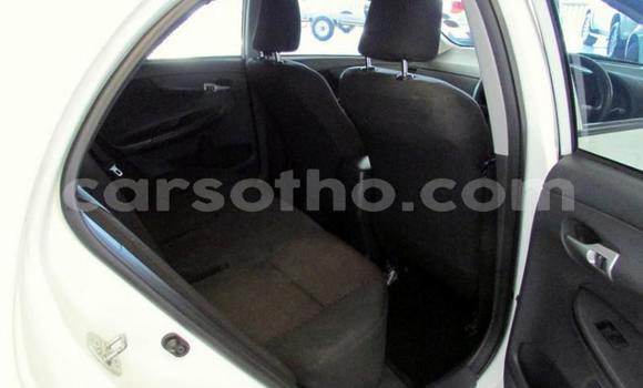 Sayi Na hannu Toyota Corolla White Mota in Maseru a Maseru Sayi Na hannu Toyota Corolla White Mota in Maseru a Maseru