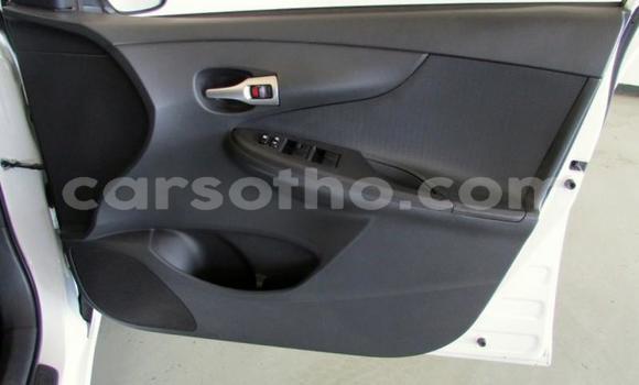 Sayi Na hannu Toyota Corolla White Mota in Maseru a Maseru Sayi Na hannu Toyota Corolla White Mota in Maseru a Maseru
