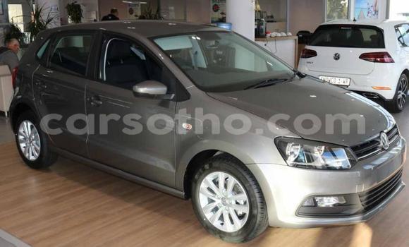 اشتري مستعمل Volkswagen Polo Other سيارة في Maputsoa في Leribe اشتري مستعمل Volkswagen Polo Other سيارة في Maputsoa في Leribe