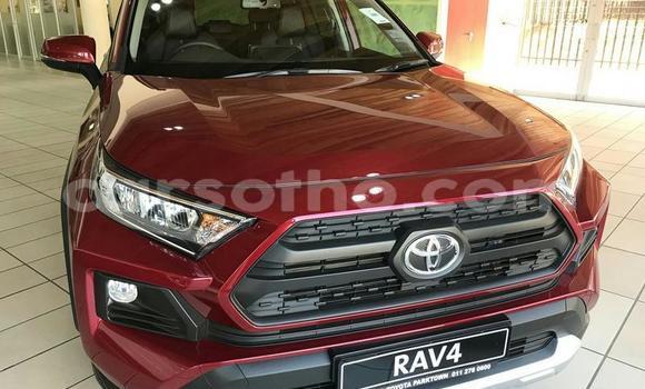 Sayi Na hannu Toyota RAV4 Red Mota in Mafeteng a Mafeteng Sayi Na hannu Toyota RAV4 Red Mota in Mafeteng a Mafeteng