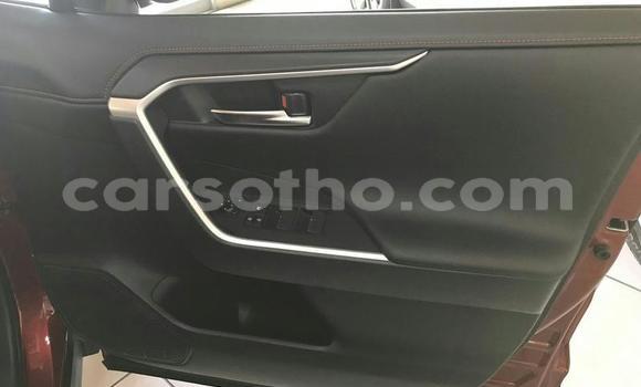 Sayi Na hannu Toyota RAV4 Red Mota in Mafeteng a Mafeteng Sayi Na hannu Toyota RAV4 Red Mota in Mafeteng a Mafeteng